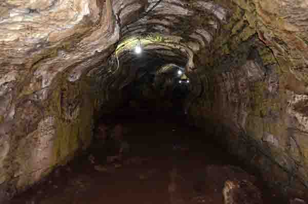 102 - Ecuador - islas Galapagos - isla Santa Cruz - tunel de lava